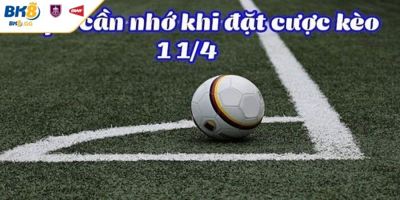 Kèo Chấp 1 1/4 BK8 - Cách Đọc Và Lưu Ý Hỗ Trợ Chơi Tối Ưu 4 Khám phá kèo chấp 1 1/4 BK8